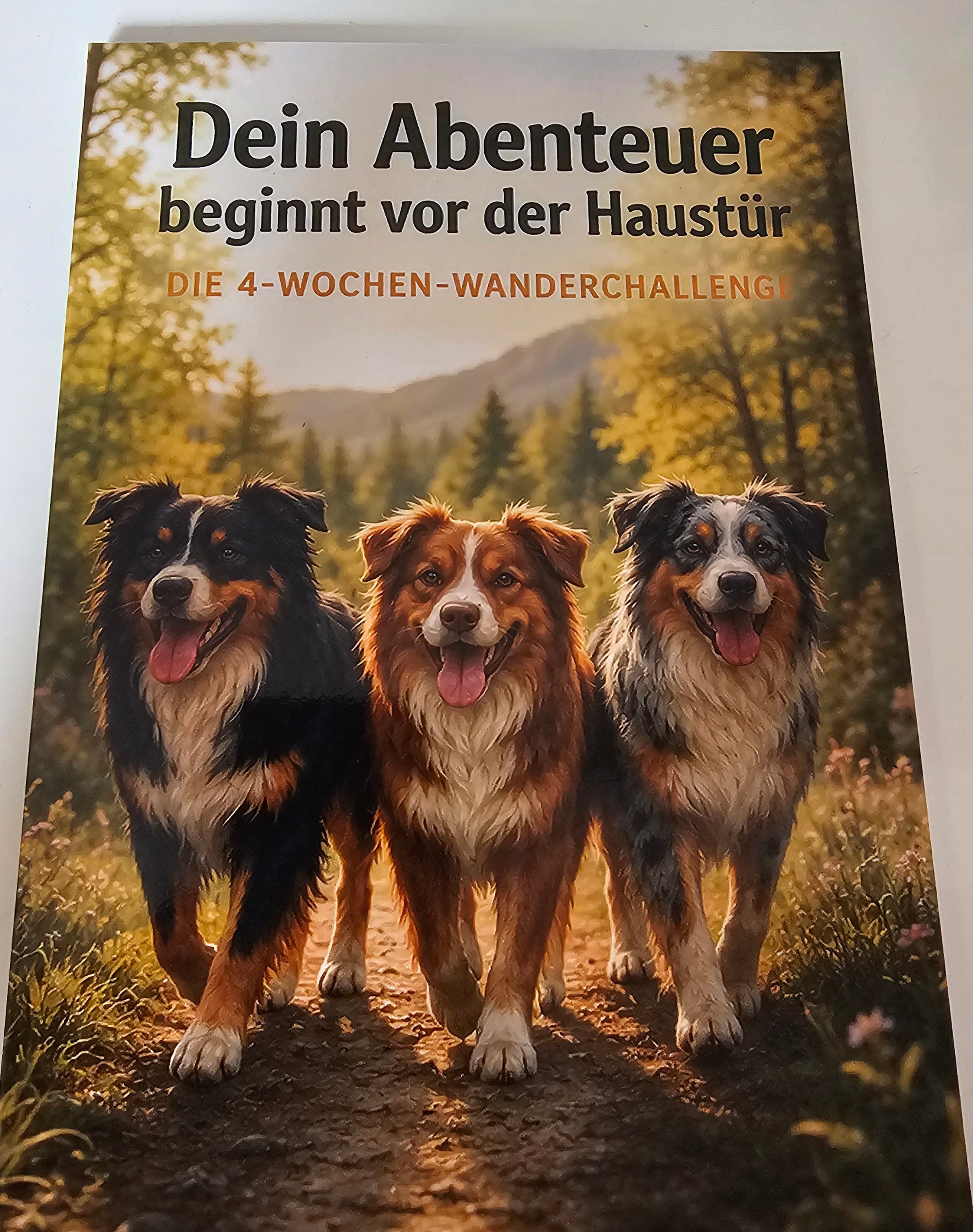 📚 Dein Abenteuer beginnt vor der Haustür