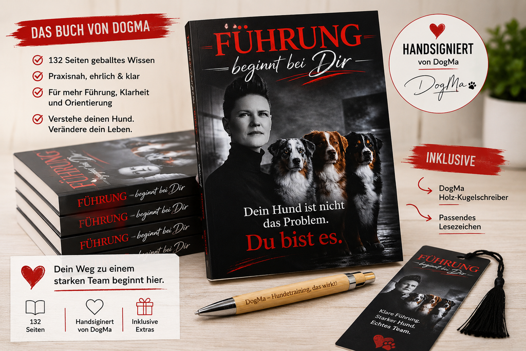 📚 Führung beginnt bei Dir