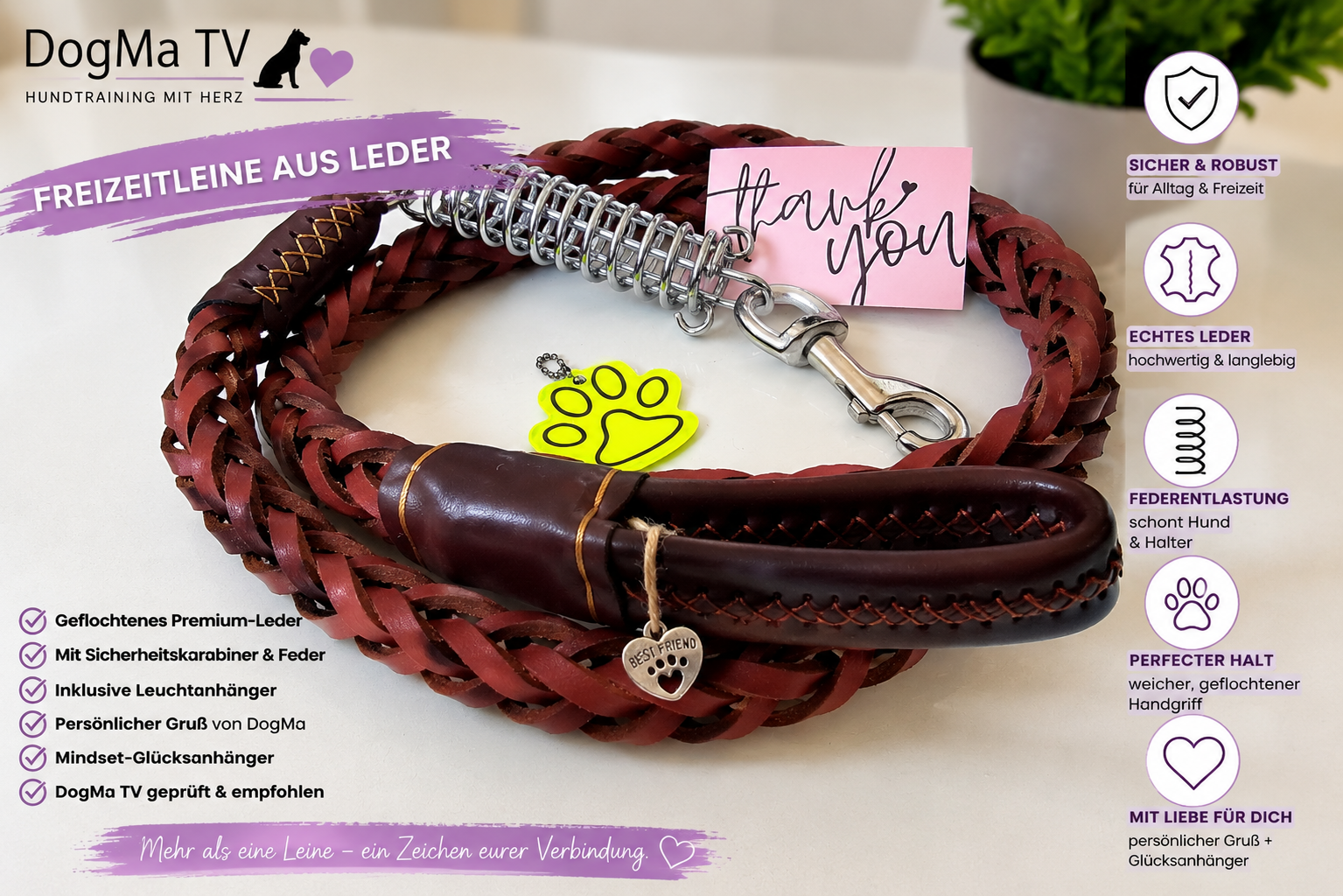 🦮 DogMa TV Freizeitleine aus Leder 💜🐾