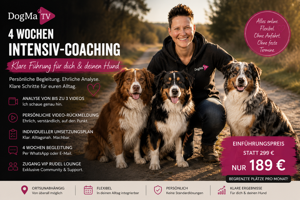 🚨 DogMa TV Intensiv-Coaching