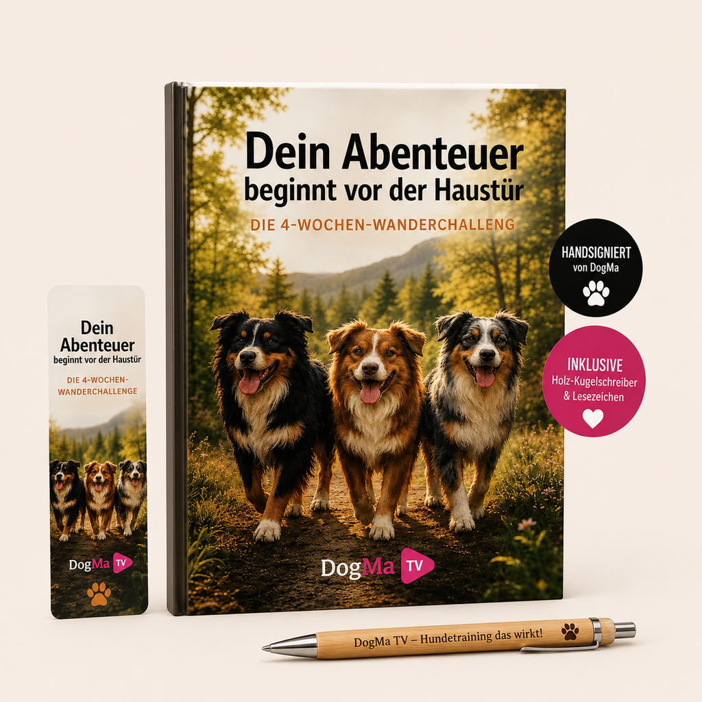 📚 Dein Abenteuer beginnt vor der Haustür