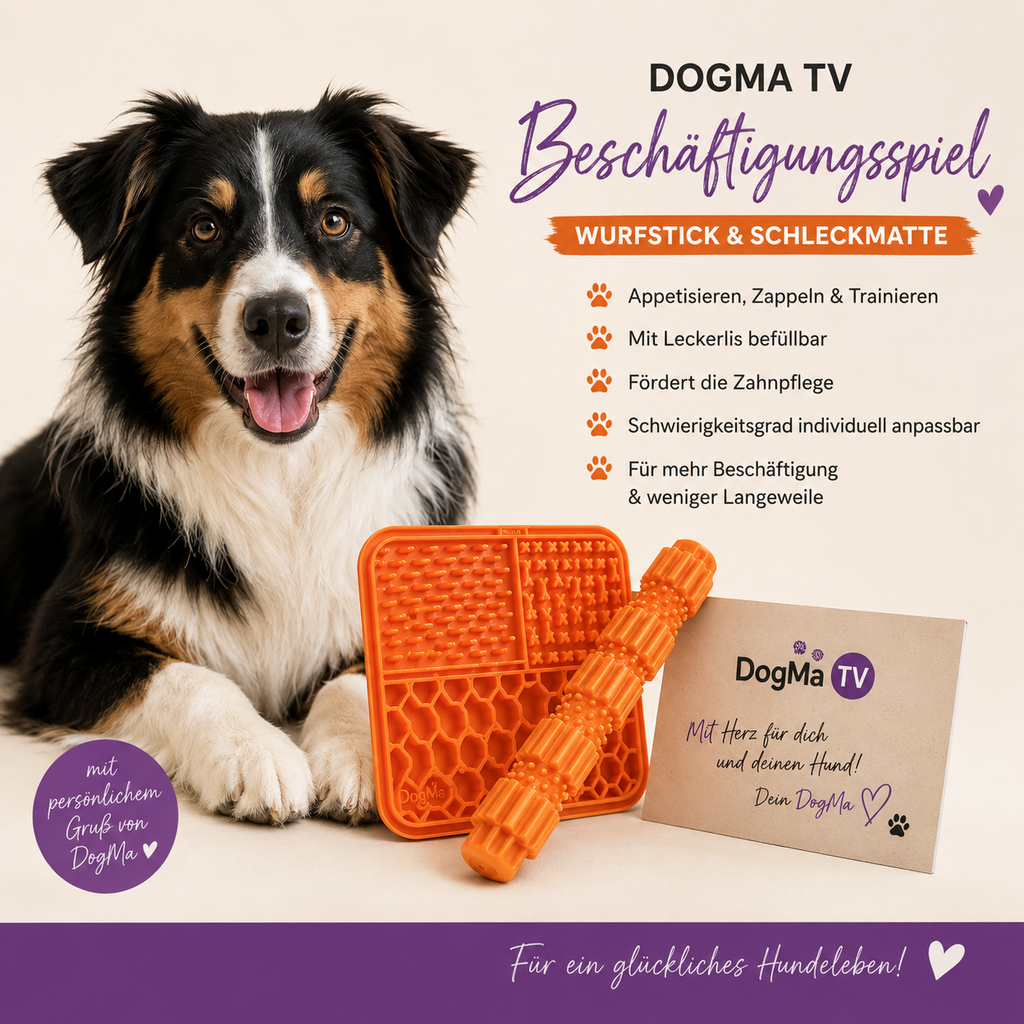 🧡 DogMa TV Beschäftigungs-Set – Wurfstick & Schleckmatte