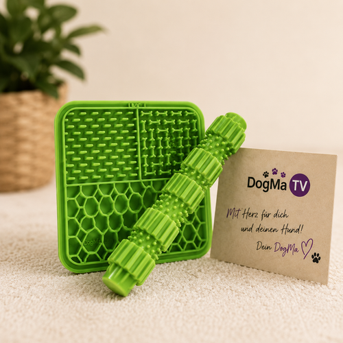 💚 DogMa TV Beschäftigungs-Set – Wurfstick & Schleckmatte
