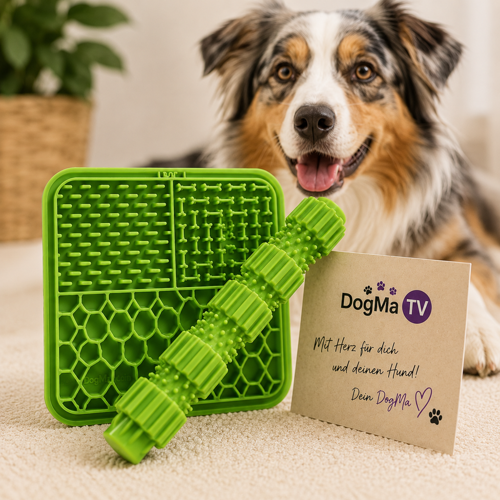 💚 DogMa TV Beschäftigungs-Set – Wurfstick & Schleckmatte
