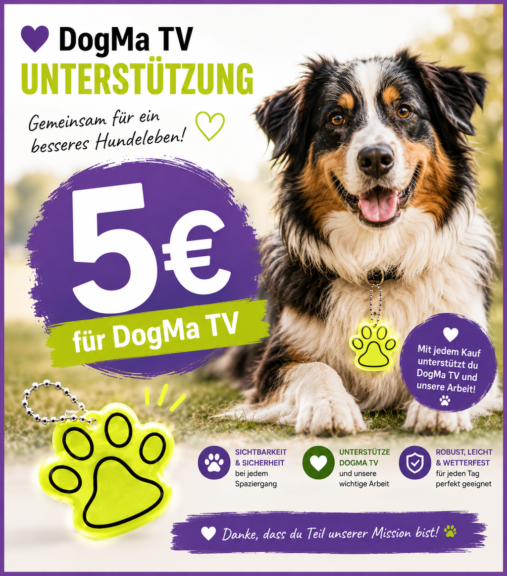 💙 DogMa TV Support-Anhänger
