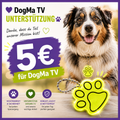 💙 DogMa TV Support-Anhänger