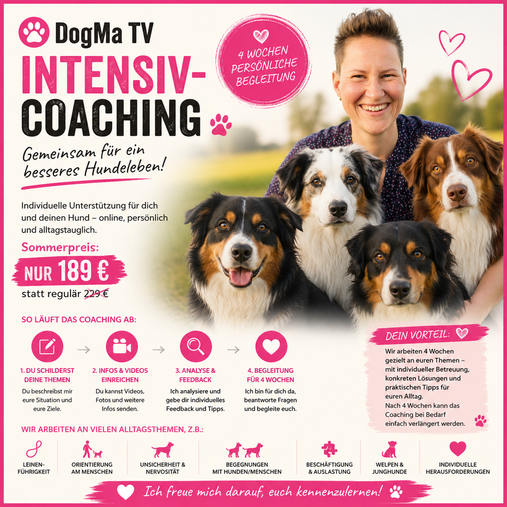 🚨 DogMa TV Intensiv-Coaching