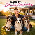 🚨 DogMa TV Intensiv-Coaching