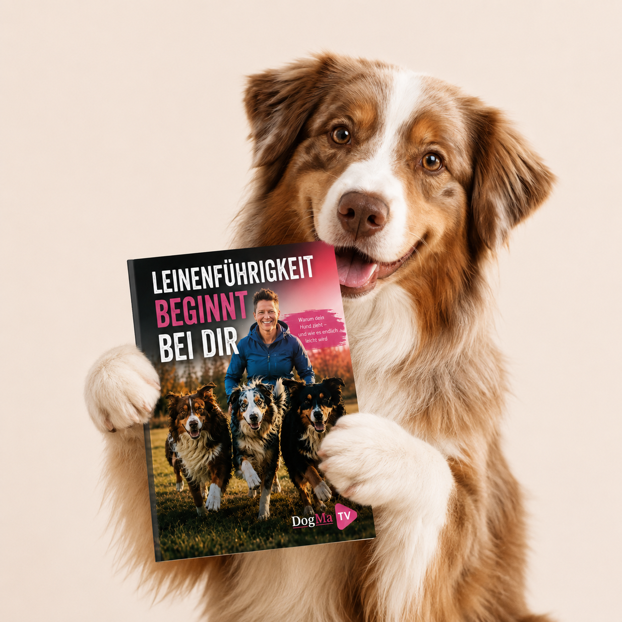 📚Leinenführigkeit beginnt bei dir