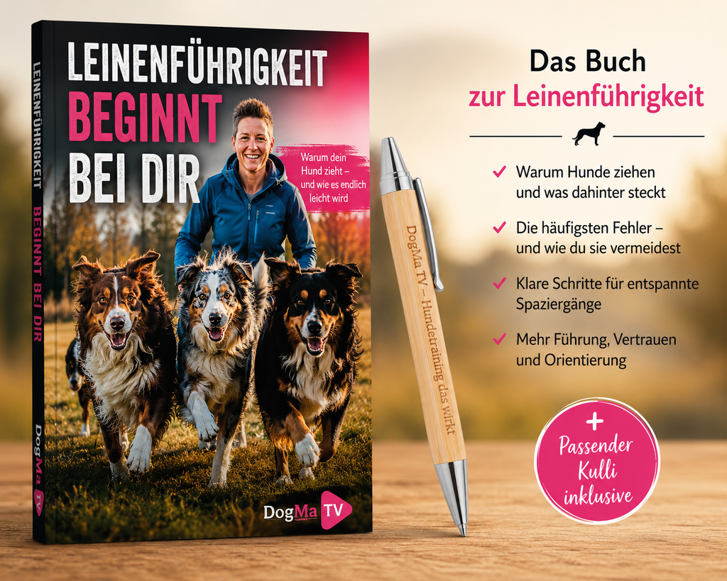 📚Leinenführigkeit beginnt bei dir
