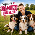 🐾 DogMa TV – 4 Wochen Fortsetzungscoaching